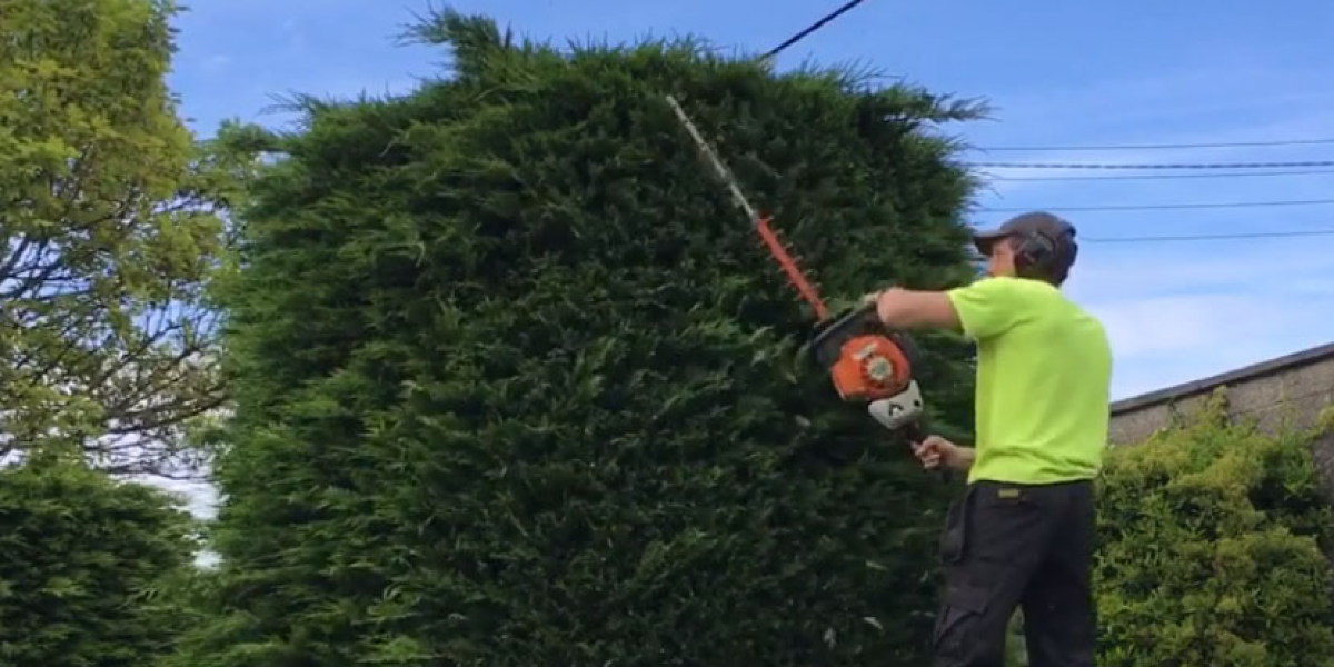 Expert Arboriculture Services from Evergreen Tree Trimming and Removal in Pleasanton, CA